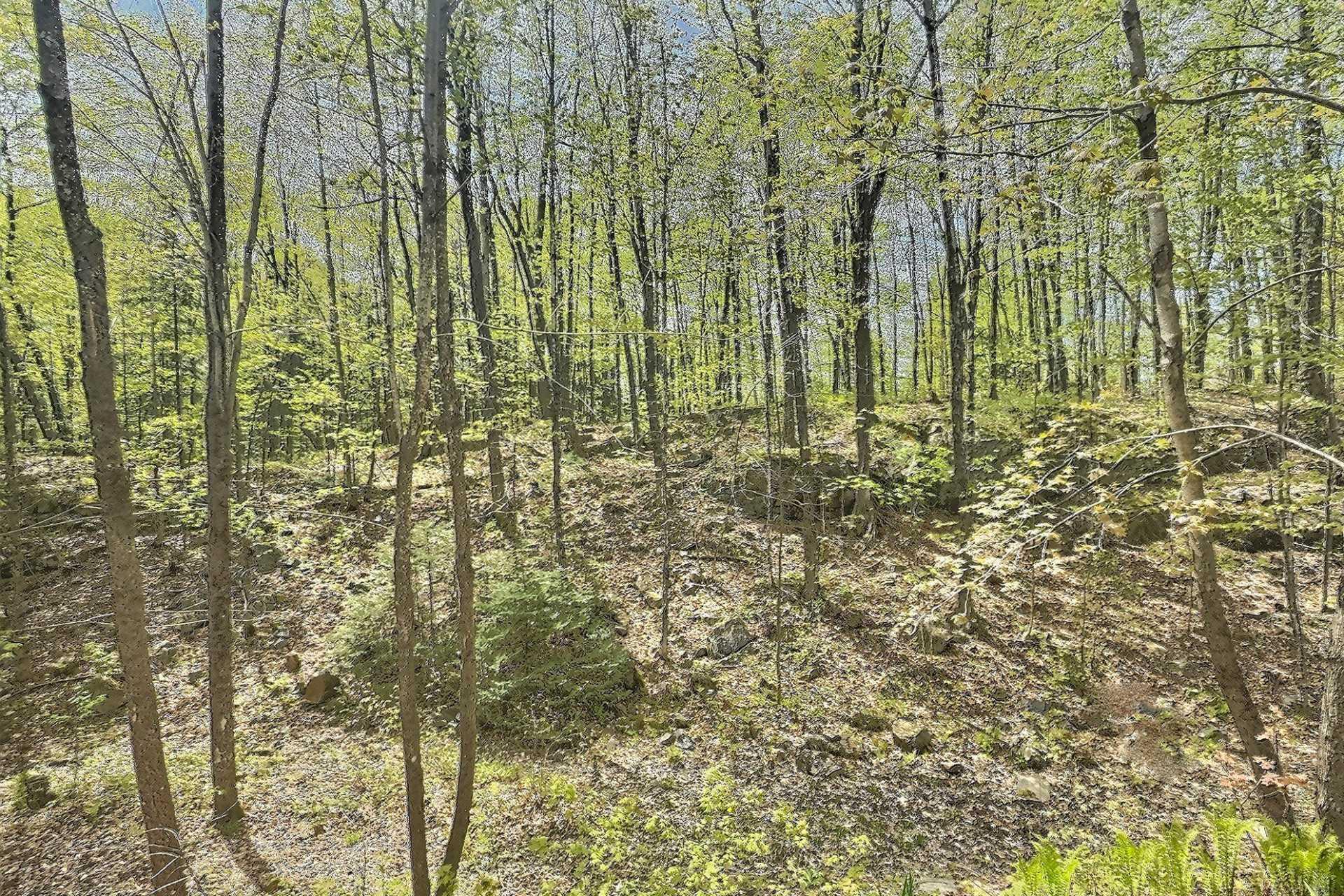 









39


Ch. de la Topaze

,
L'Ange-Gardien,




QC
J8L0G1

