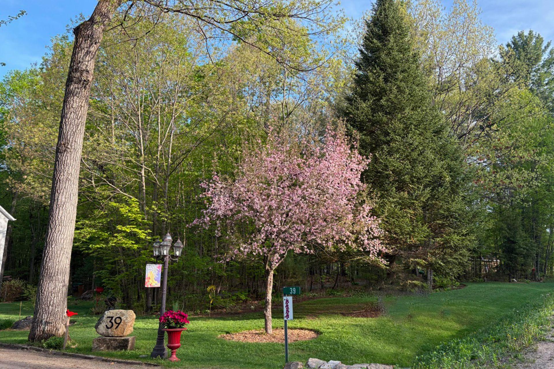 









39


Ch. de la Topaze

,
L'Ange-Gardien,




QC
J8L0G1

