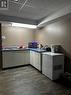 Lower level kitchen area