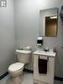 Lower level 2nd bathroom