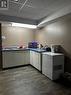 Lower level kitchen area