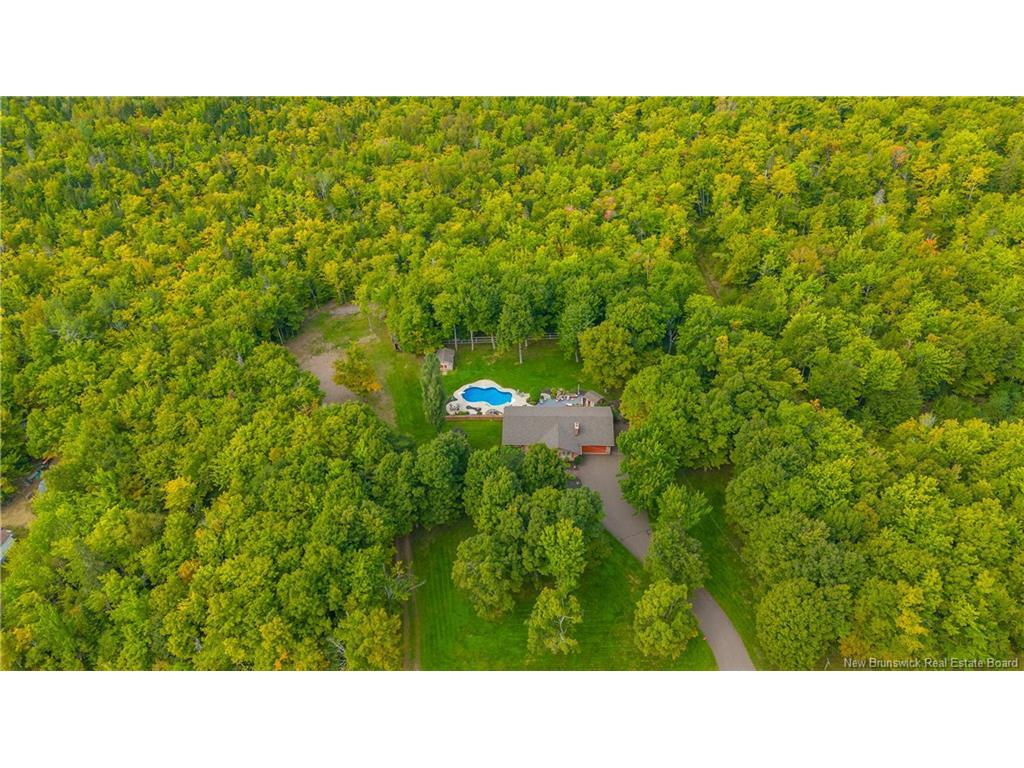 









138


365

RTE,
Tilley Road,




NB
E8M 1N4

