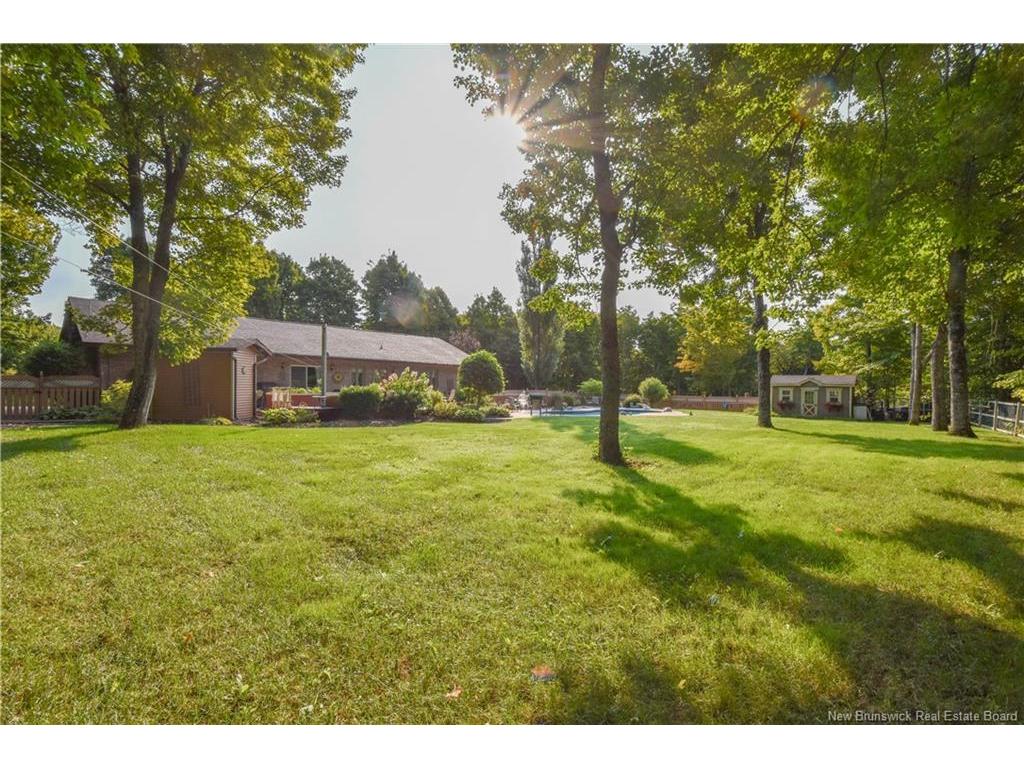 









138


365

RTE,
Tilley Road,




NB
E8M 1N4

