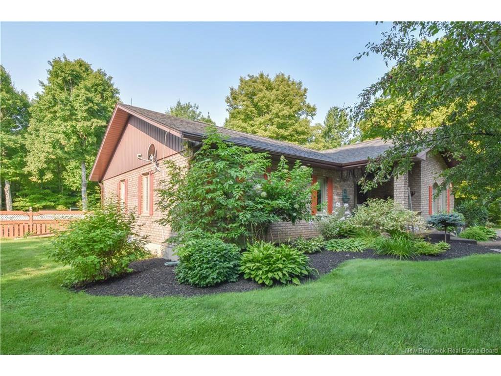 









138


365

RTE,
Tilley Road,




NB
E8M 1N4

