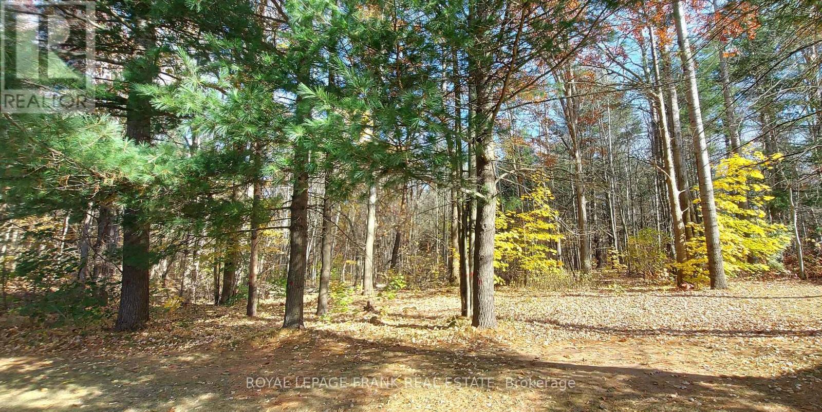 












83 BELMONT STREET

,
Havelock-Belmont-Methuen (Belmont-Methuen),




Ontario
K0L1Z0

