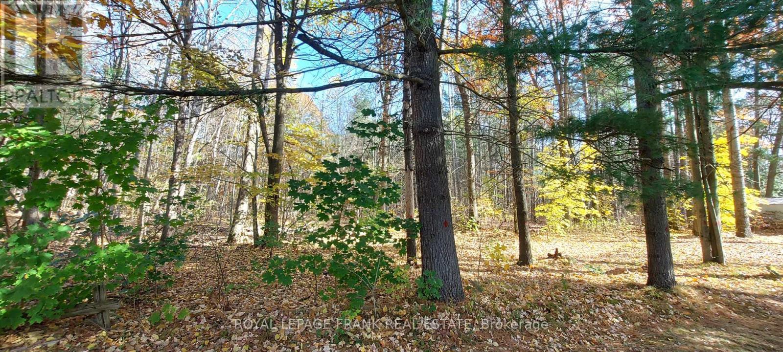 












83 BELMONT STREET

,
Havelock-Belmont-Methuen (Belmont-Methuen),




Ontario
K0L1Z0

