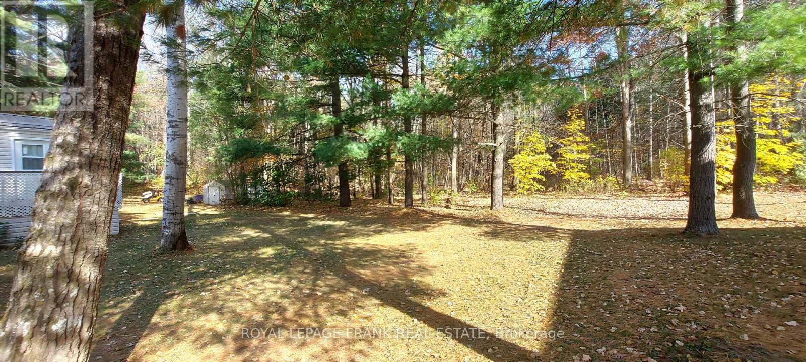 












83 BELMONT STREET

,
Havelock-Belmont-Methuen (Belmont-Methuen),




Ontario
K0L1Z0

