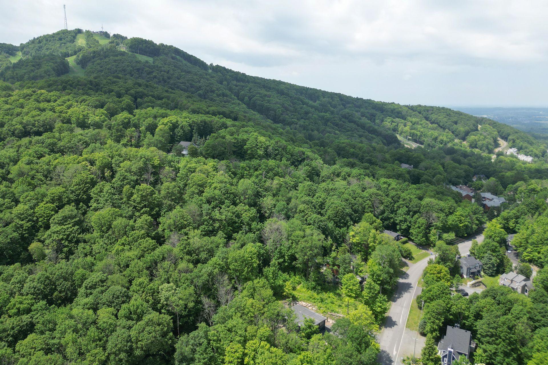 









205


Rue des Deux-Montagnes

,
Bromont,




QC
J2L1P2

