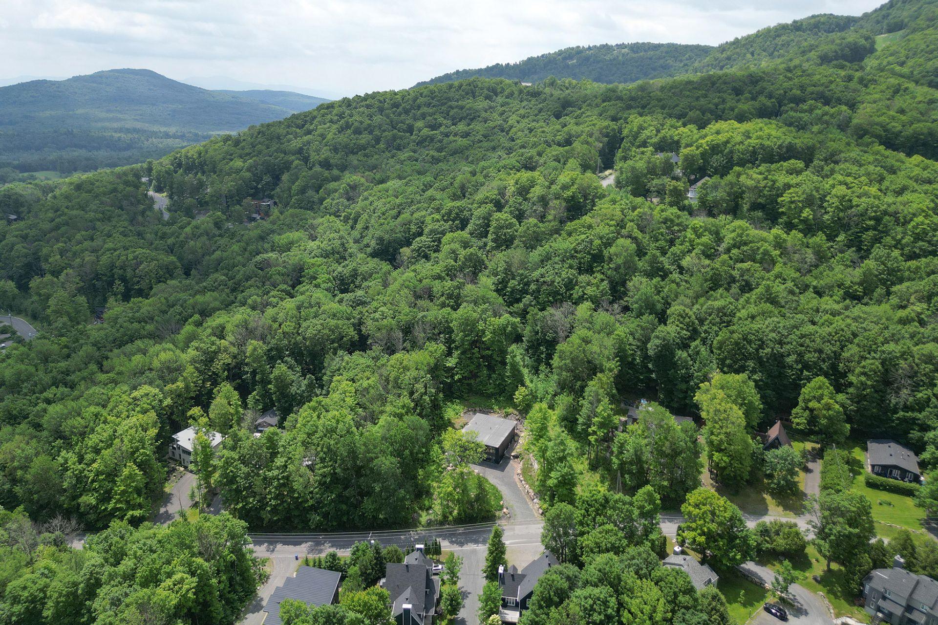 









205


Rue des Deux-Montagnes

,
Bromont,




QC
J2L1P2

