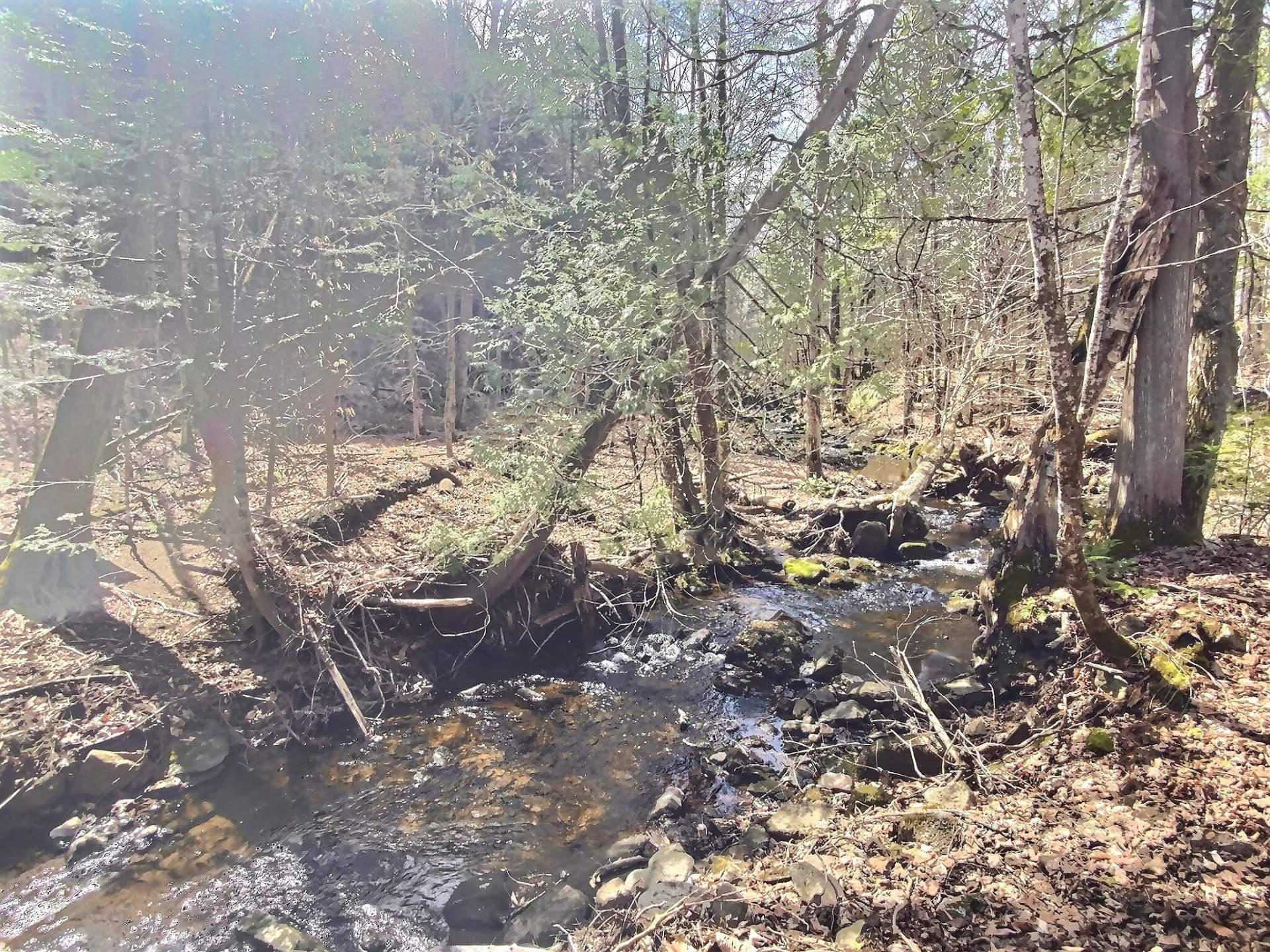 












Ch. Devine

,
L'Ange-Gardien,







QC
J8L0L6


