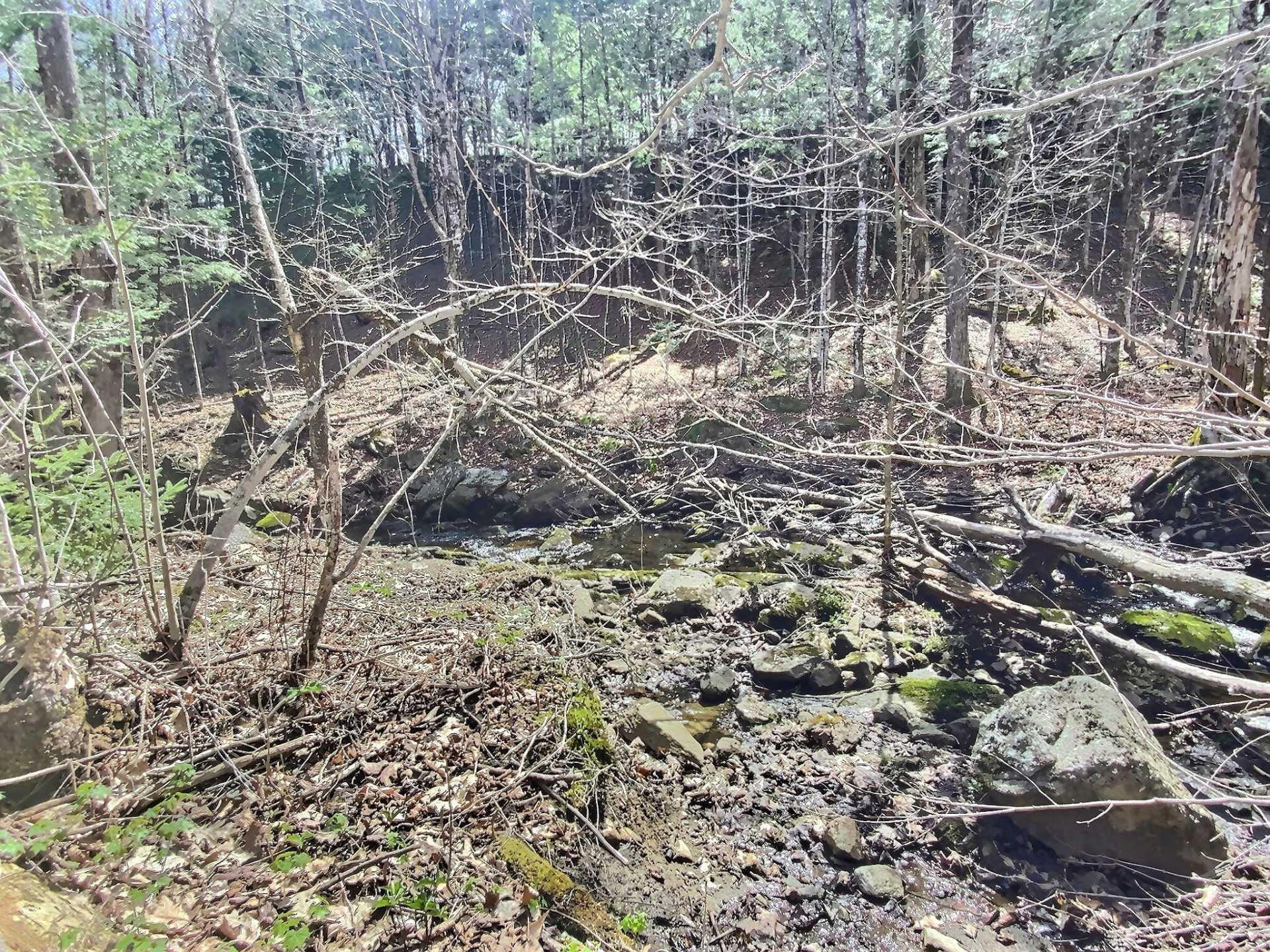












Ch. Devine

,
L'Ange-Gardien,







QC
J8L0L6

