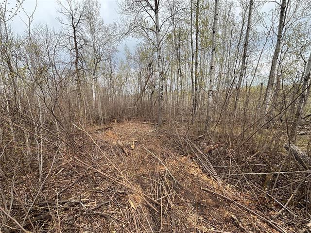 









53


HEATHWOOD

DR,
Belair,







MB
R0E 2A0

