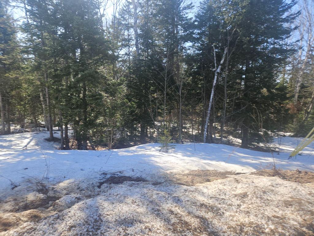 












Rue des Trois-Pierre

,
Morin-Heights,







QC
J0R1H0

