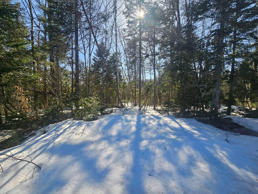 












Rue des Trois-Pierre

,
Morin-Heights,







QC
J0R1H0

