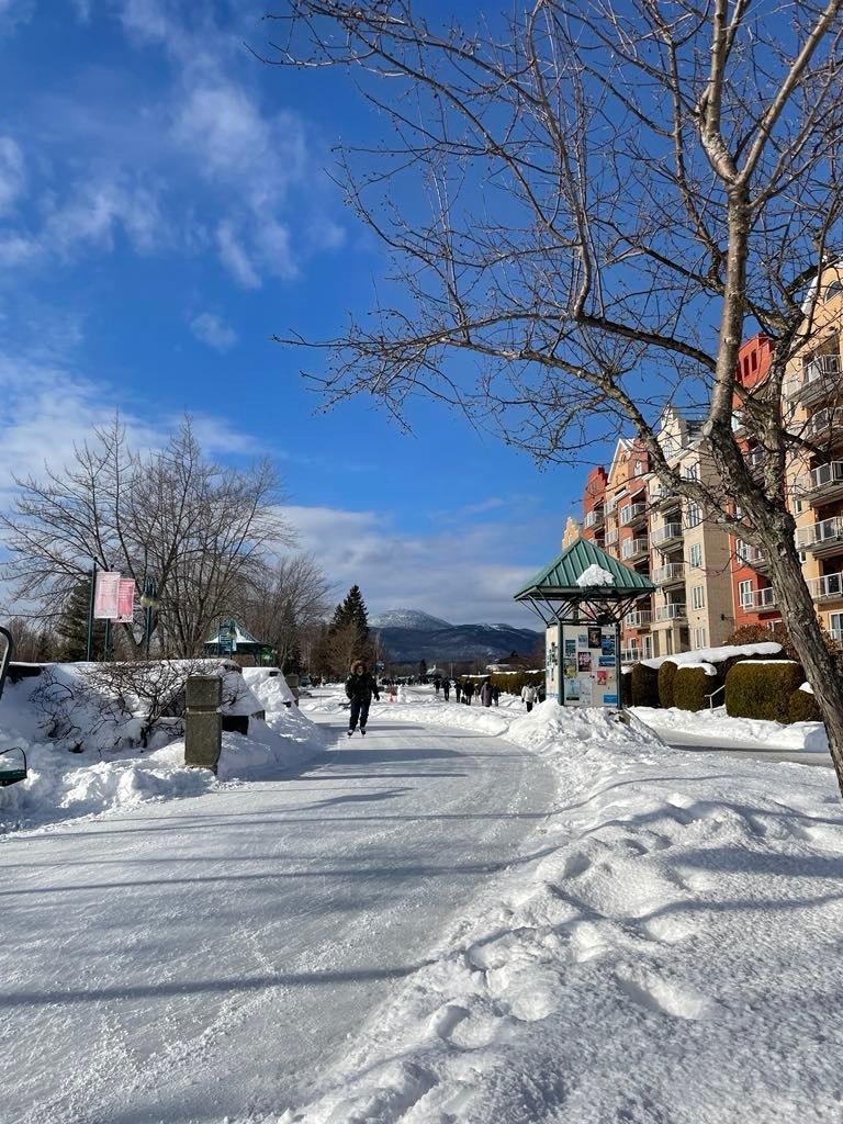 









12


Rue de l'Intimité

,
Eastman,




QC
J0E1P0

