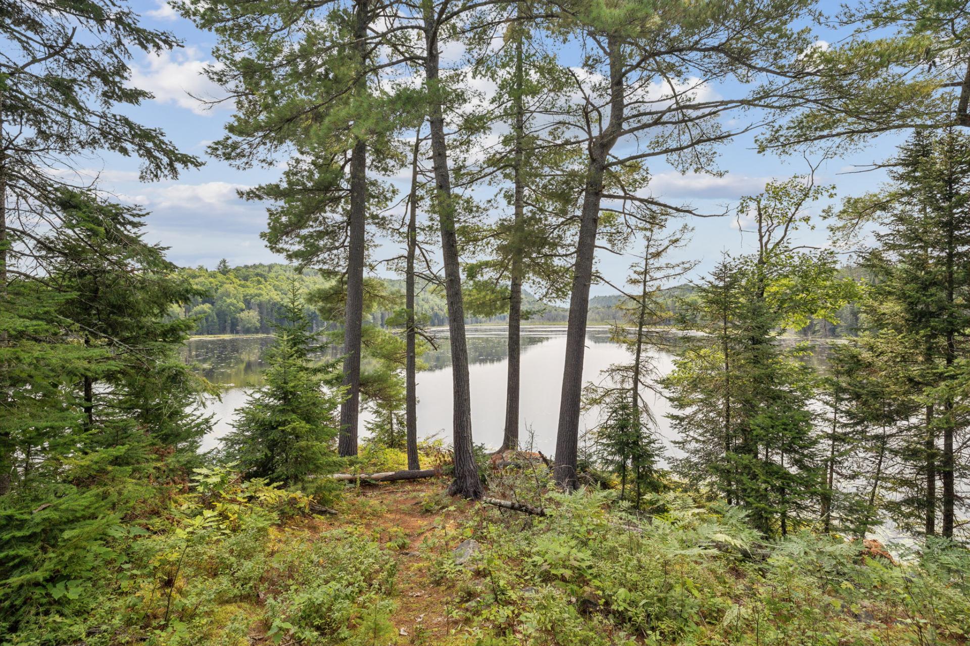 









50Z


Ch. Scharf

,
Gracefield,







QC
J0X1W0

