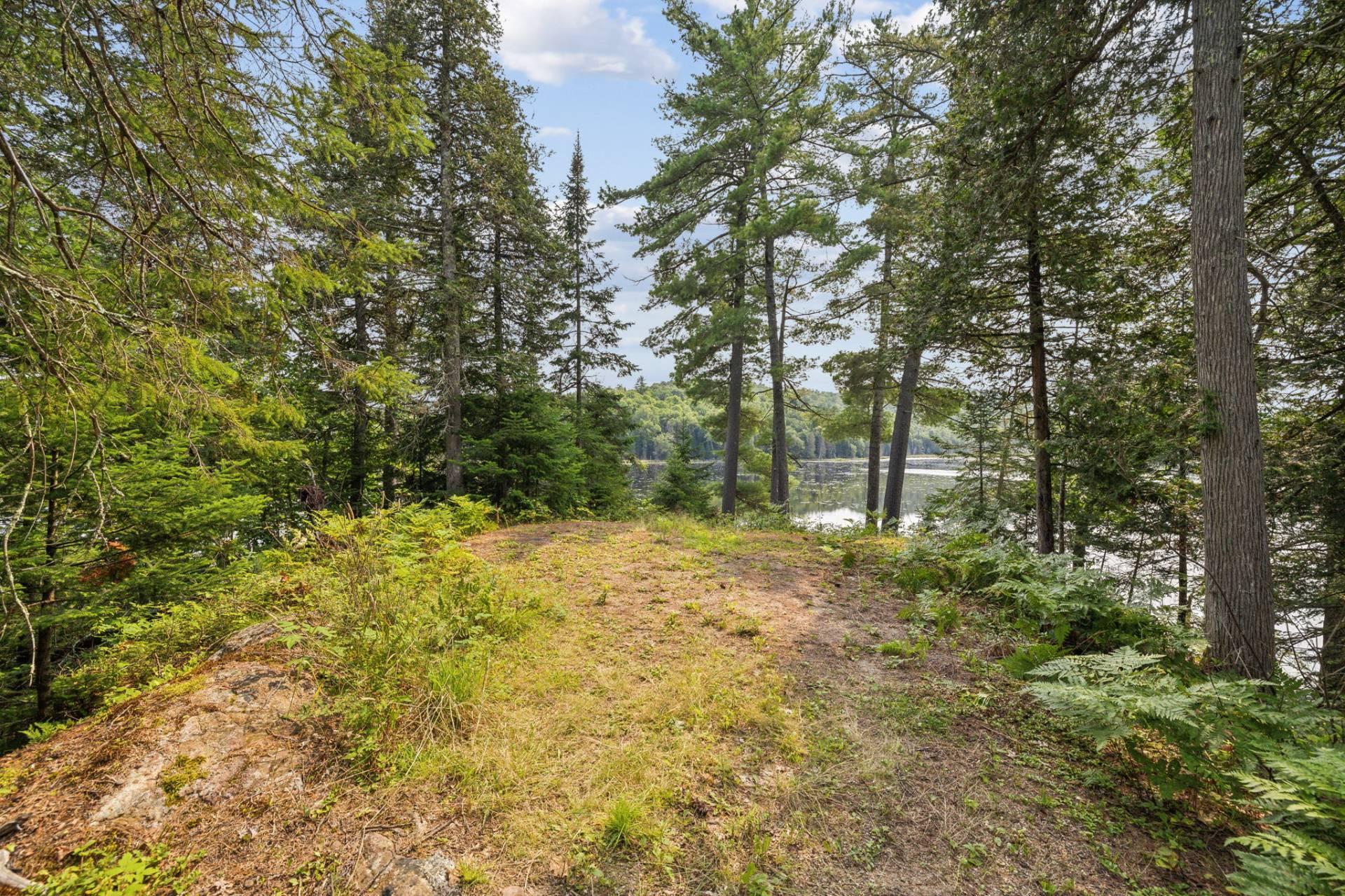 









50


Ch. Scharf

,
Gracefield,




QC
J0X1W0


