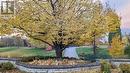 Autumn View