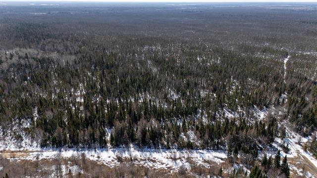 









0


Pommer

RD,
RM of Reynolds,







MB
R0E 1Y0

