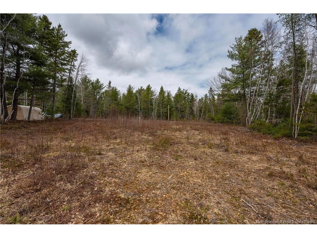 









Lot


Harper Settlement

RD,
Harper Settlement,







NB
E4Z 1E6

