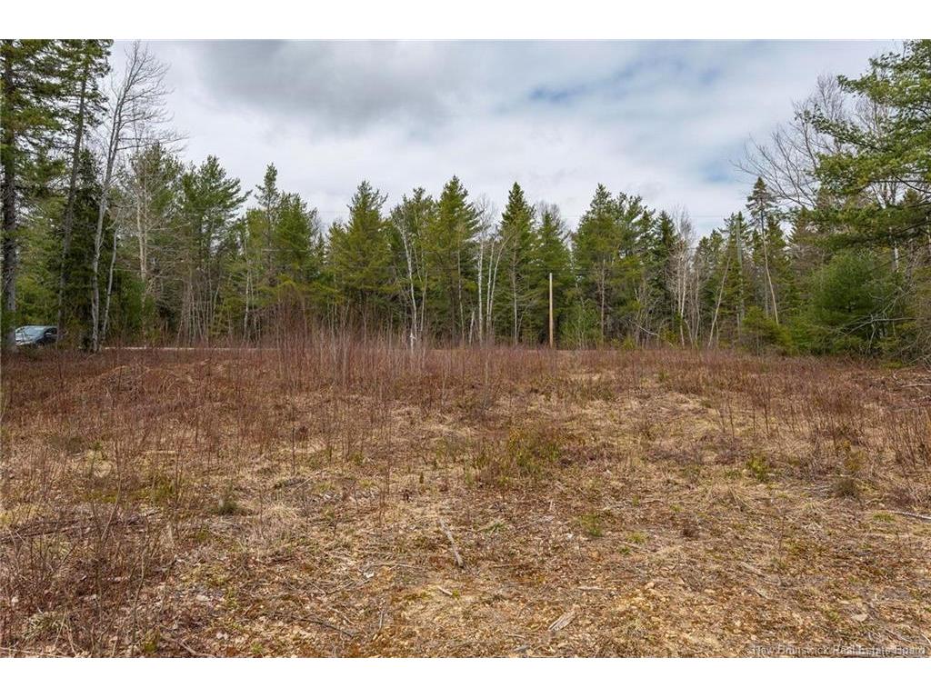 









Lot


Harper Settlement

RD,
Harper Settlement,







NB
E4Z 1E6

