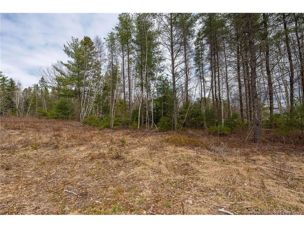 









Lot


Harper Settlement

RD,
Harper Settlement,







NB
E4Z 1E6

