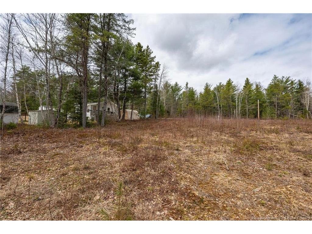 









Lot


Harper Settlement

RD,
Harper Settlement,







NB
E4Z 1E6


