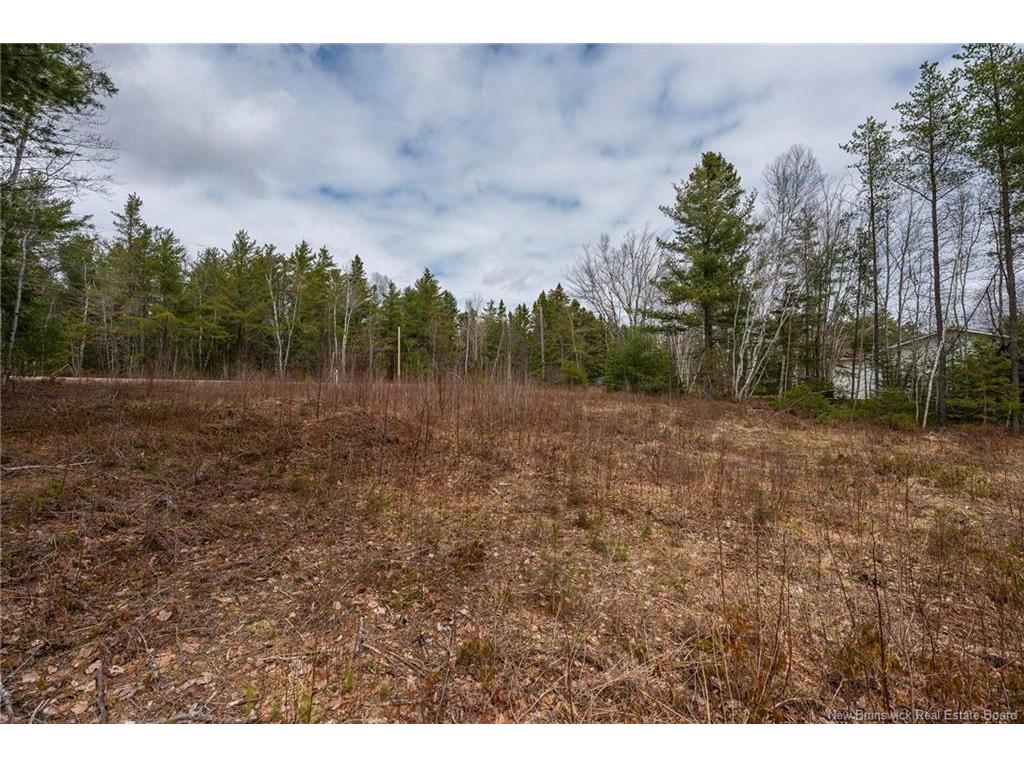 









Lot


Harper Settlement

RD,
Harper Settlement,







NB
E4Z 1E6

