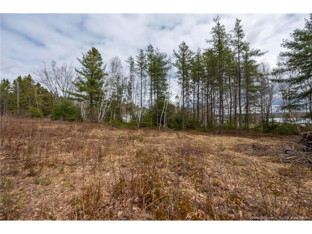 









Lot


Harper Settlement

RD,
Harper Settlement,







NB
E4Z 1E6

