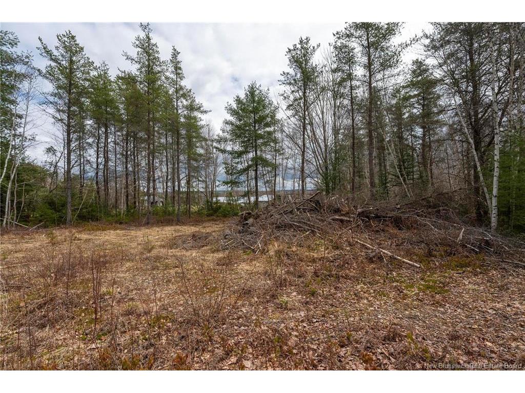 









Lot


Harper Settlement

RD,
Harper Settlement,







NB
E4Z 1E6

