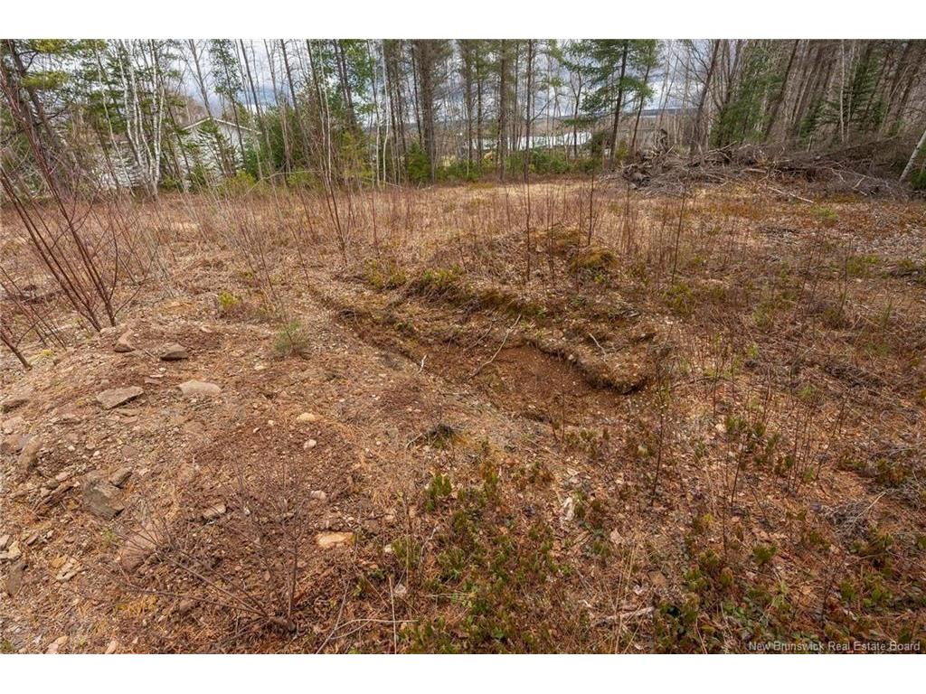 









Lot


Harper Settlement

RD,
Harper Settlement,







NB
E4Z 1E6

