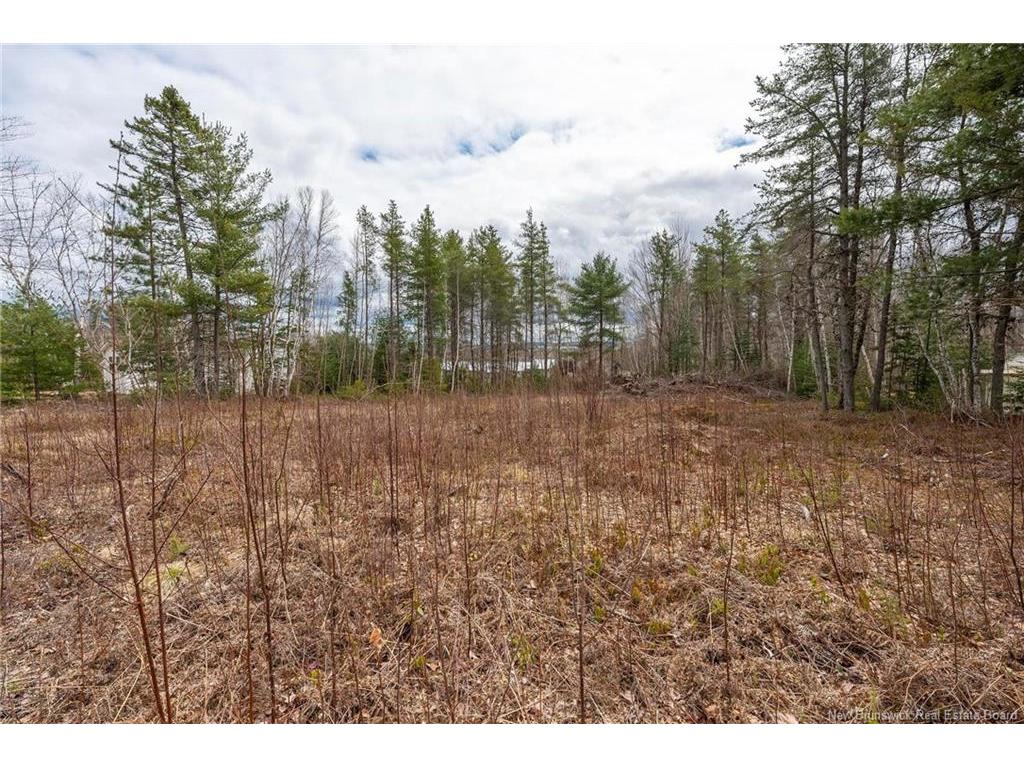 









Lot


Harper Settlement

RD,
Harper Settlement,







NB
E4Z 1E6

