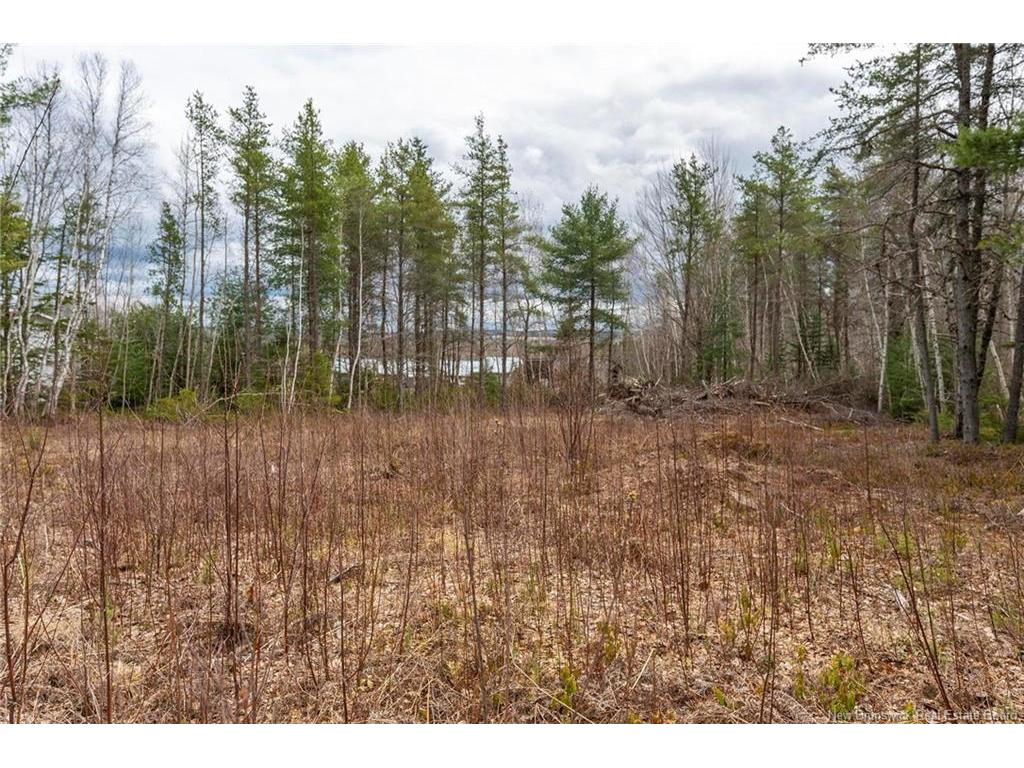 









Lot


Harper Settlement

RD,
Harper Settlement,







NB
E4Z 1E6

