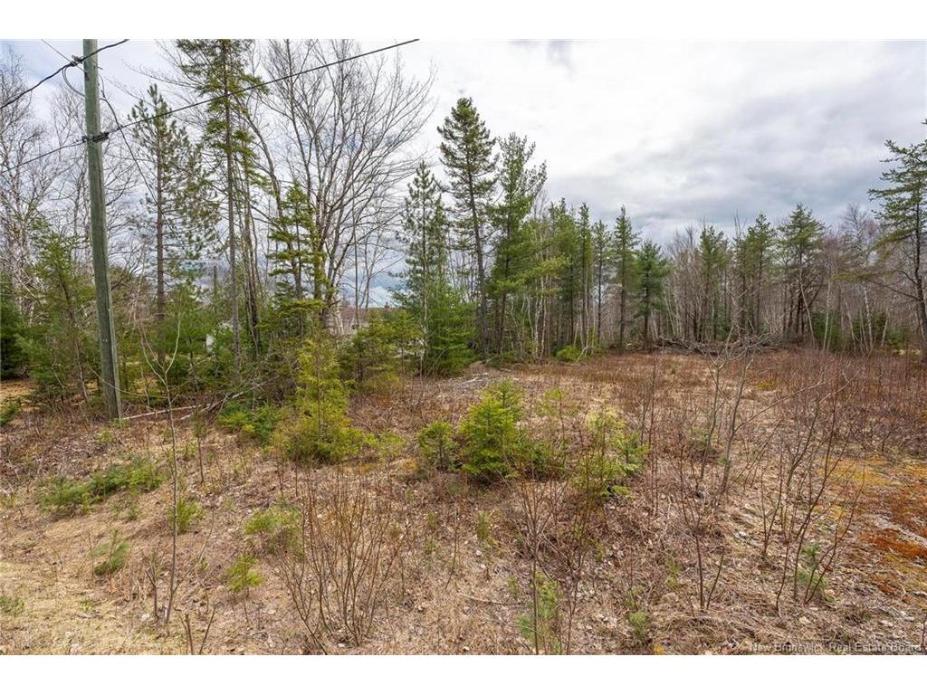 









Lot


Harper Settlement

RD,
Harper Settlement,







NB
E4Z 1E6

