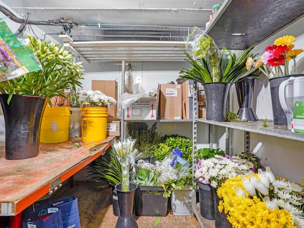 









6751

 - 6759


Rue Beaubien E.

,
Montréal (Mercier/Hochelaga-Maisonneuve),




QC
H1M3B2

