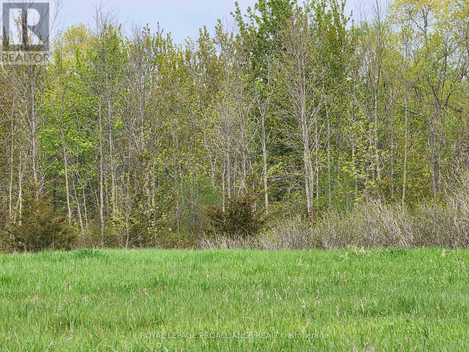 












PT LT 4 MITCHELLS CROSSROAD ROAD

,
Prince Edward County (North Marysburgh),







Ontario
K0K2T0


