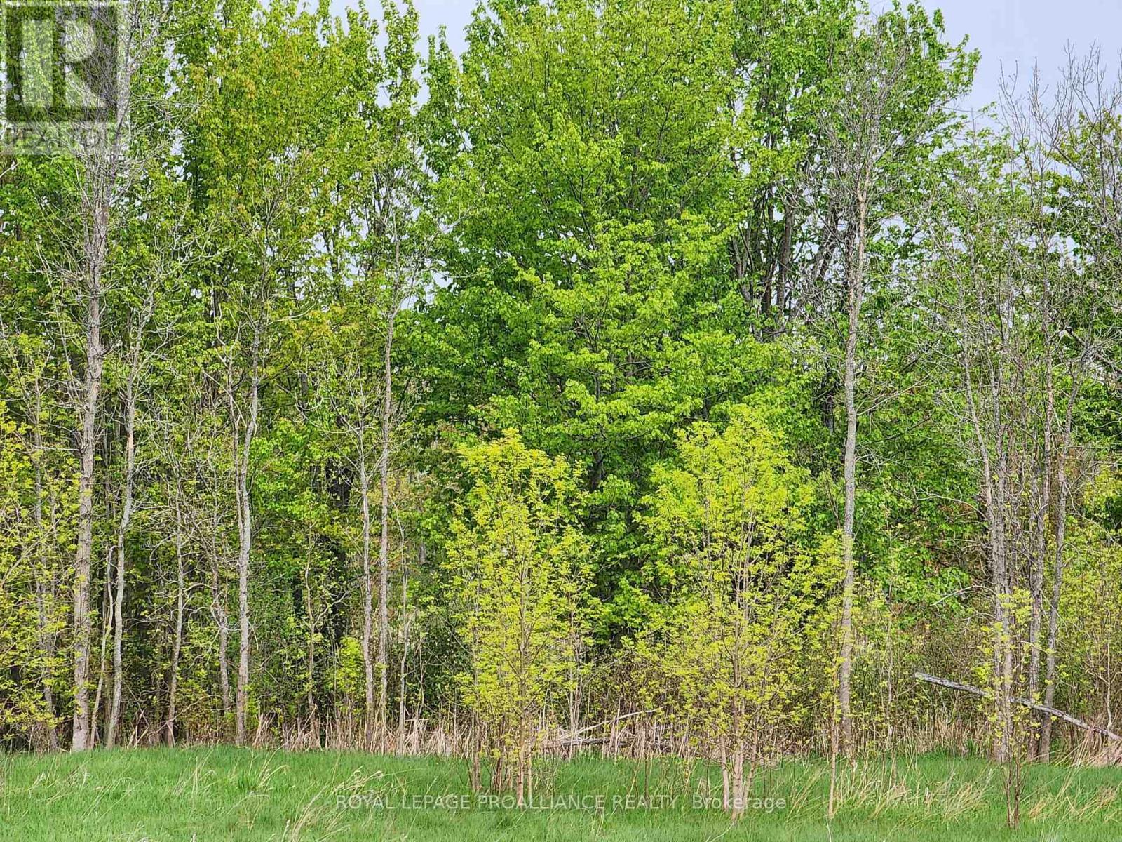 












PT LT 4 MITCHELLS CROSSROAD ROAD

,
Prince Edward County (North Marysburgh),







Ontario
K0K2T0

