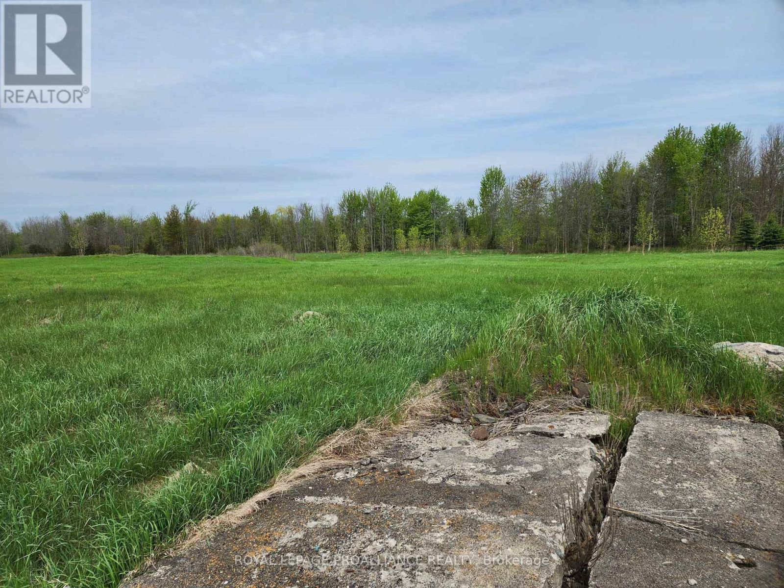 












PT LT 4 MITCHELLS CROSSROAD ROAD

,
Prince Edward County (North Marysburgh),







Ontario
K0K2T0

