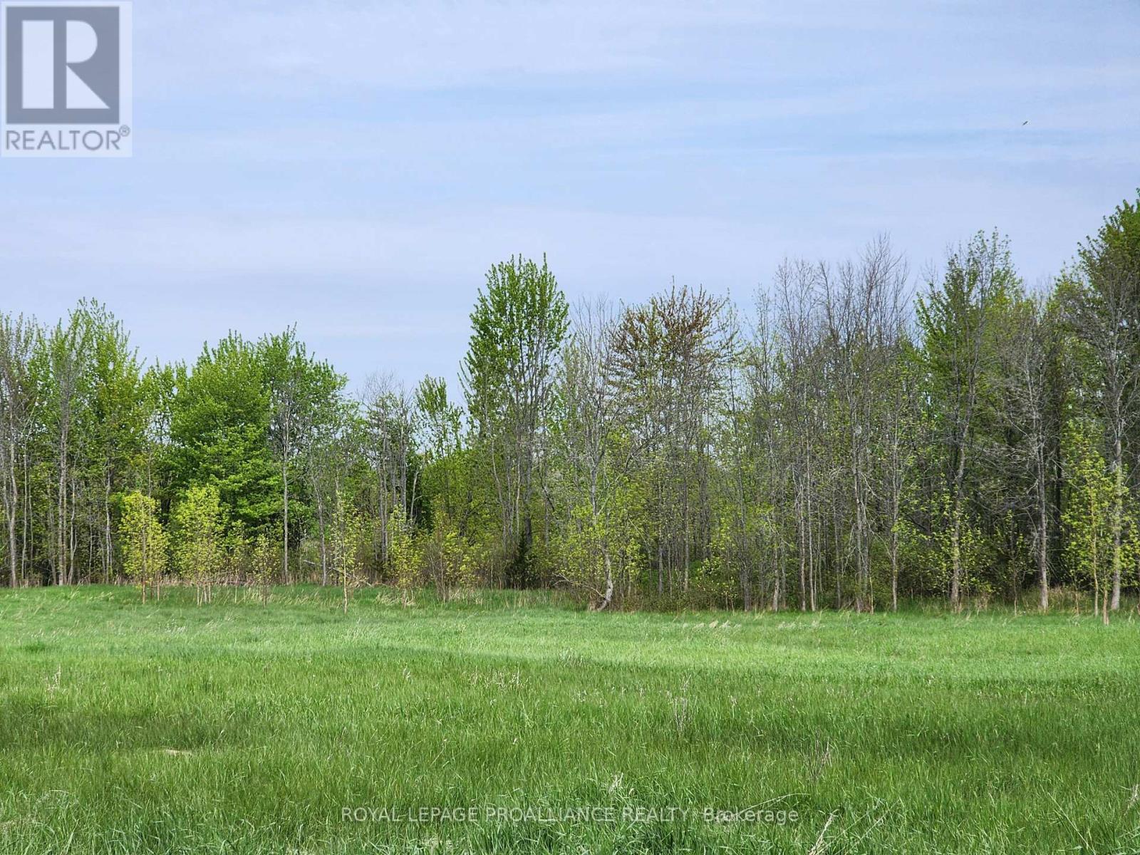 












PT LT 4 MITCHELLS CROSSROAD ROAD

,
Prince Edward County (North Marysburgh),







Ontario
K0K2T0

