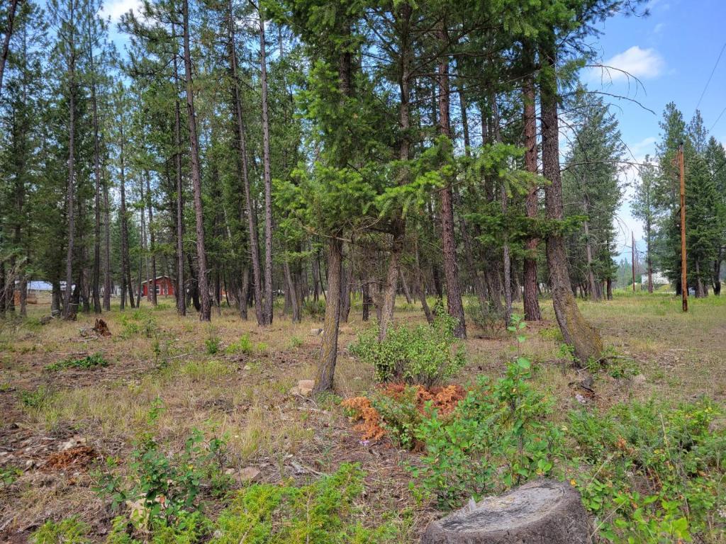 









Lot B


GRASMERE-DORR

Road,
Grasmere,







BC
V0B 1R0

