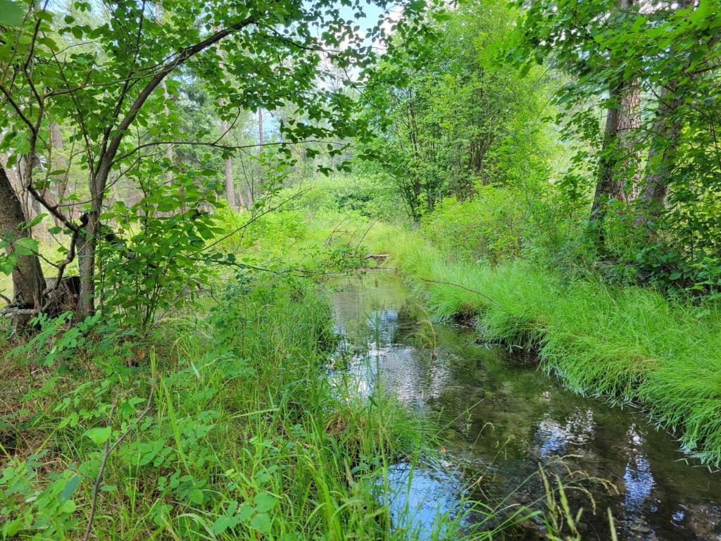 









Lot B


GRASMERE-DORR

Road,
Grasmere,







BC
V0B 1R0

