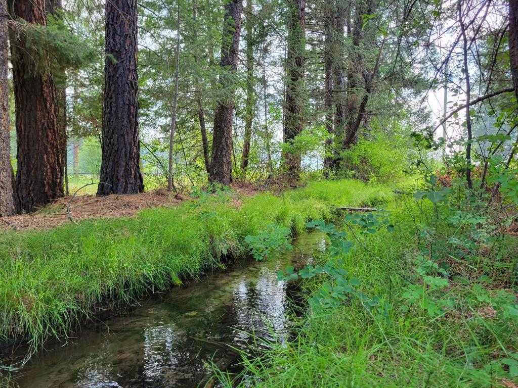 









Lot B


GRASMERE-DORR

Road,
Grasmere,







BC
V0B 1R0

