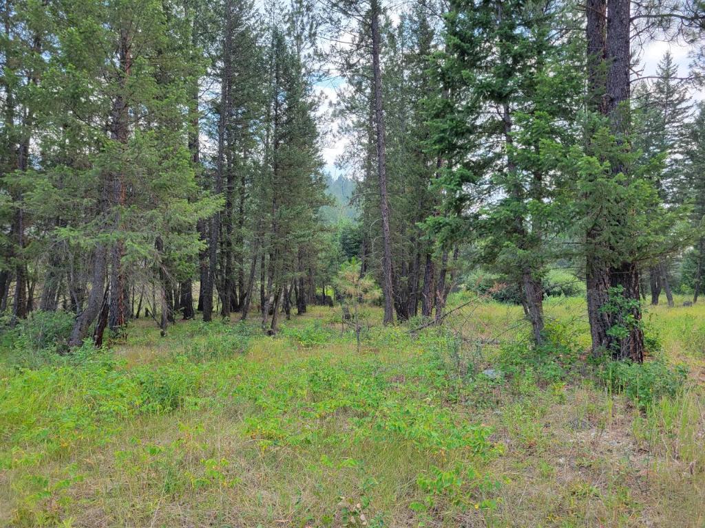 









Lot B


GRASMERE-DORR

Road,
Grasmere,







BC
V0B 1R0

