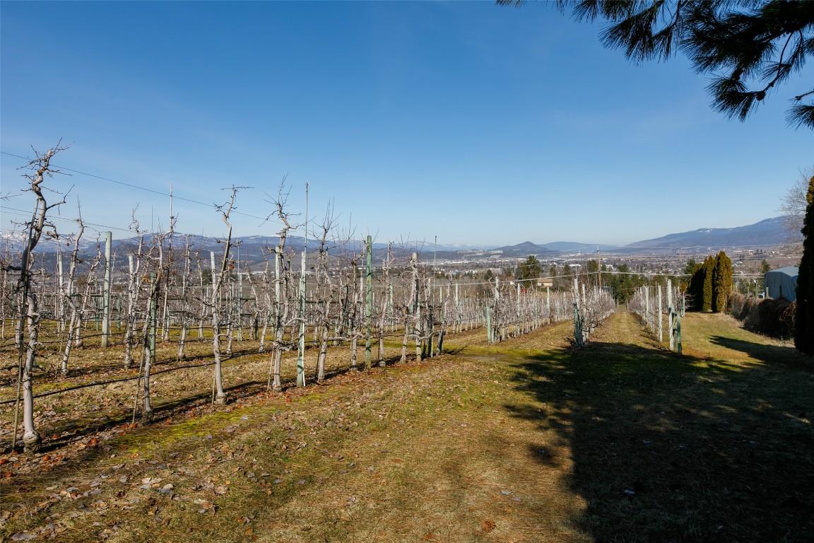 









1225


Teasdale

Road,
Kelowna,







BC
V1P 1C7

