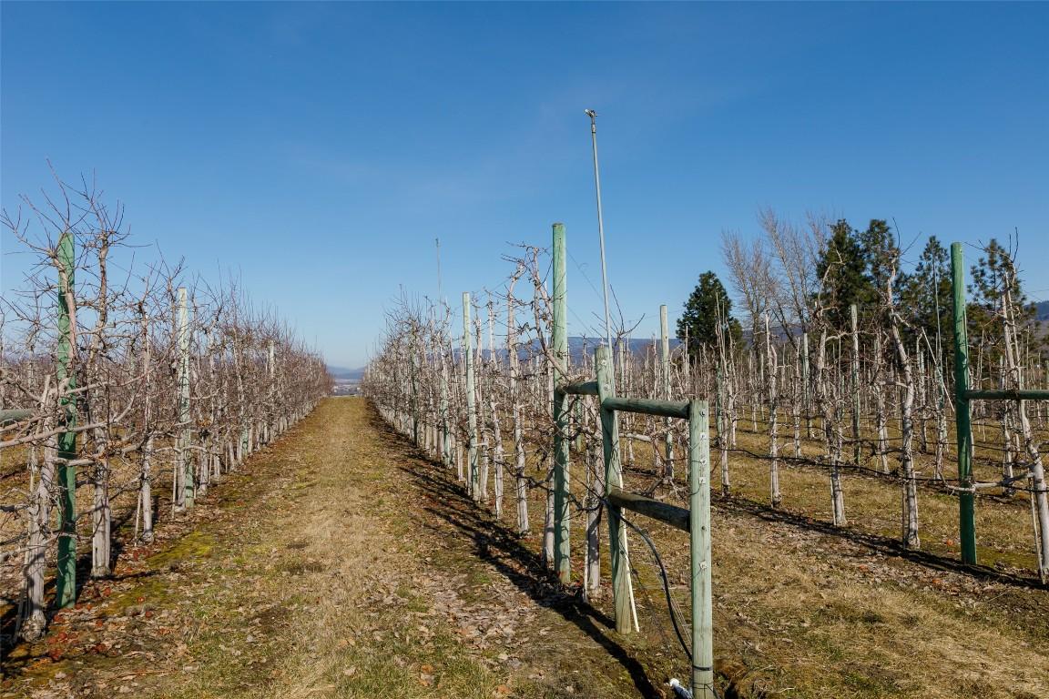 









1225


Teasdale

Road,
Kelowna,







BC
V1P 1C7

