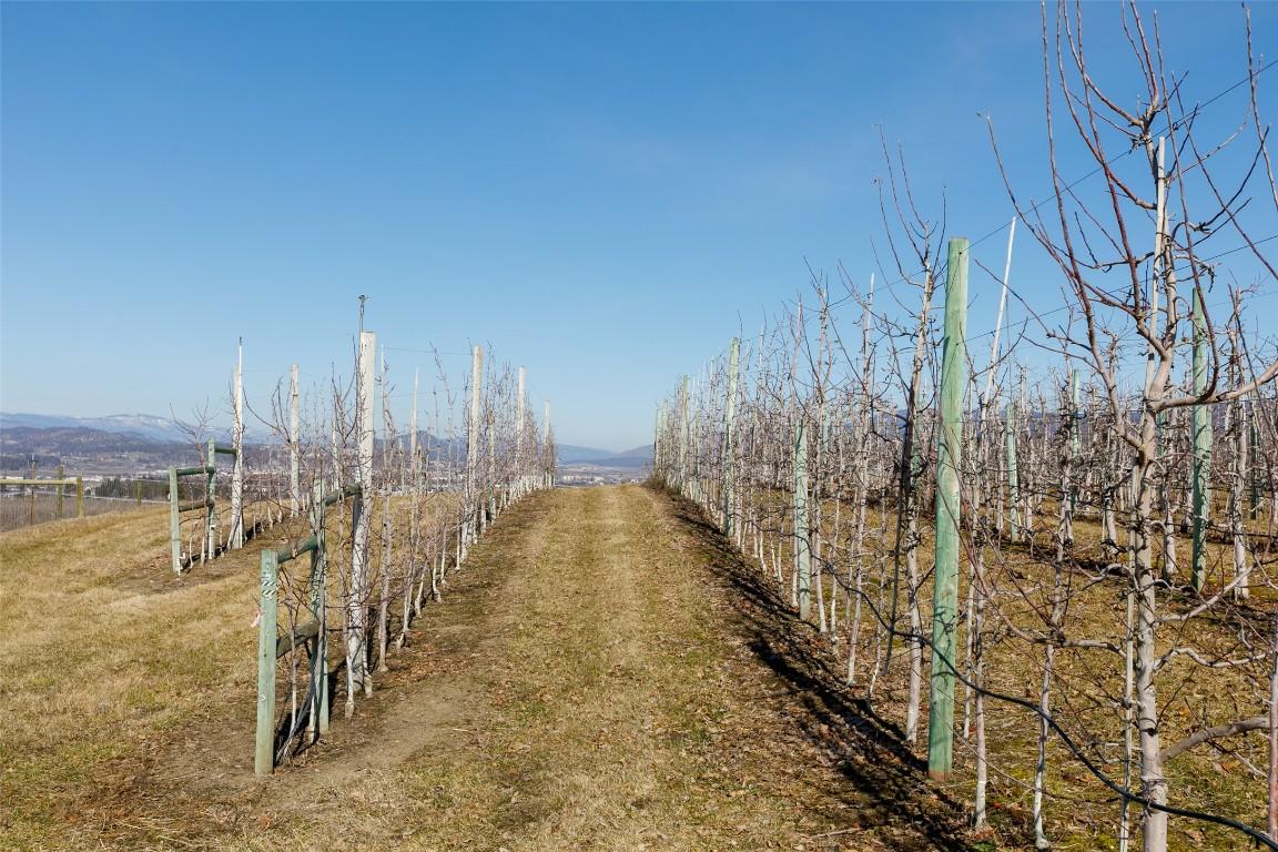 









1225


Teasdale

Road,
Kelowna,







BC
V1P 1C7

