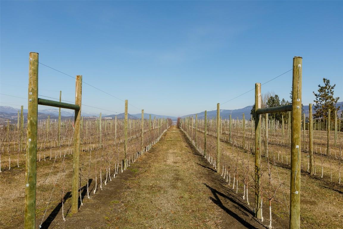 









1225


Teasdale

Road,
Kelowna,







BC
V1P 1C7

