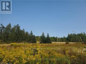 












270 YOUNG STREET

,
Southgate,







Ontario
N0C1B0

