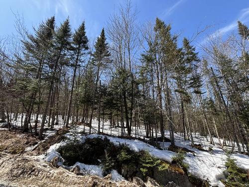 Photo de l'inscription vedette 