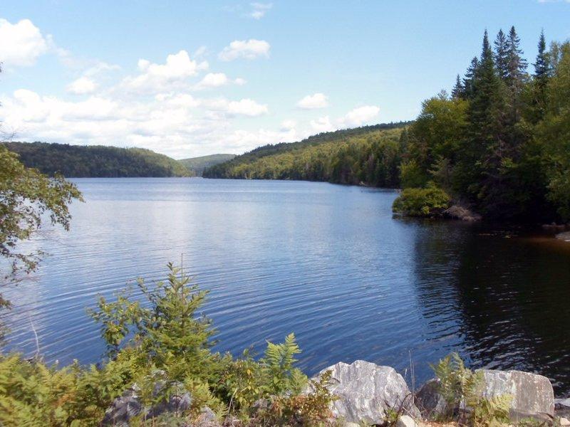 









330


Rue de l'Edelweiss

,
Sainte-Agathe-des-Monts,




QC
J8C0J9

